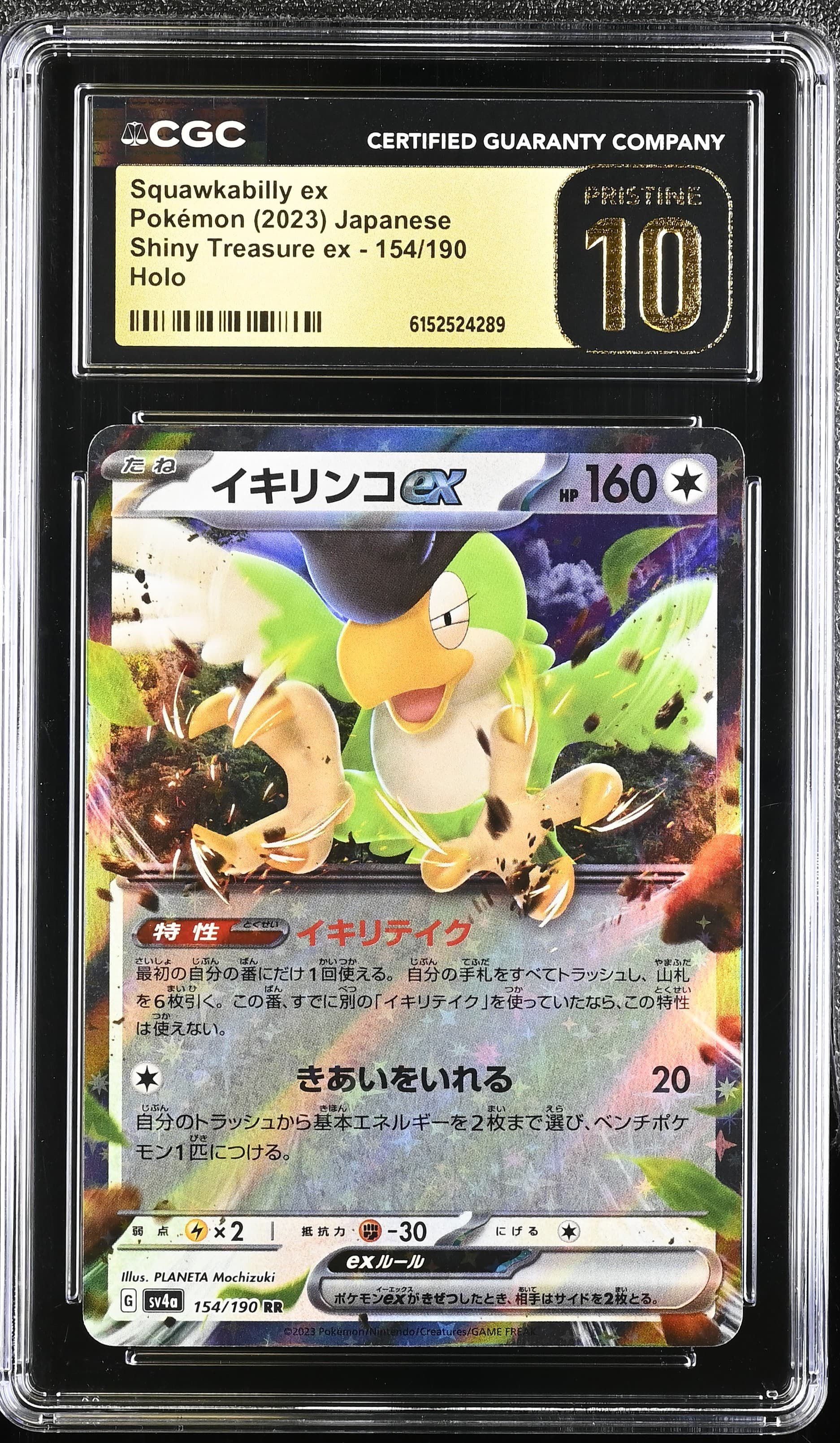 Squawkabilly ex