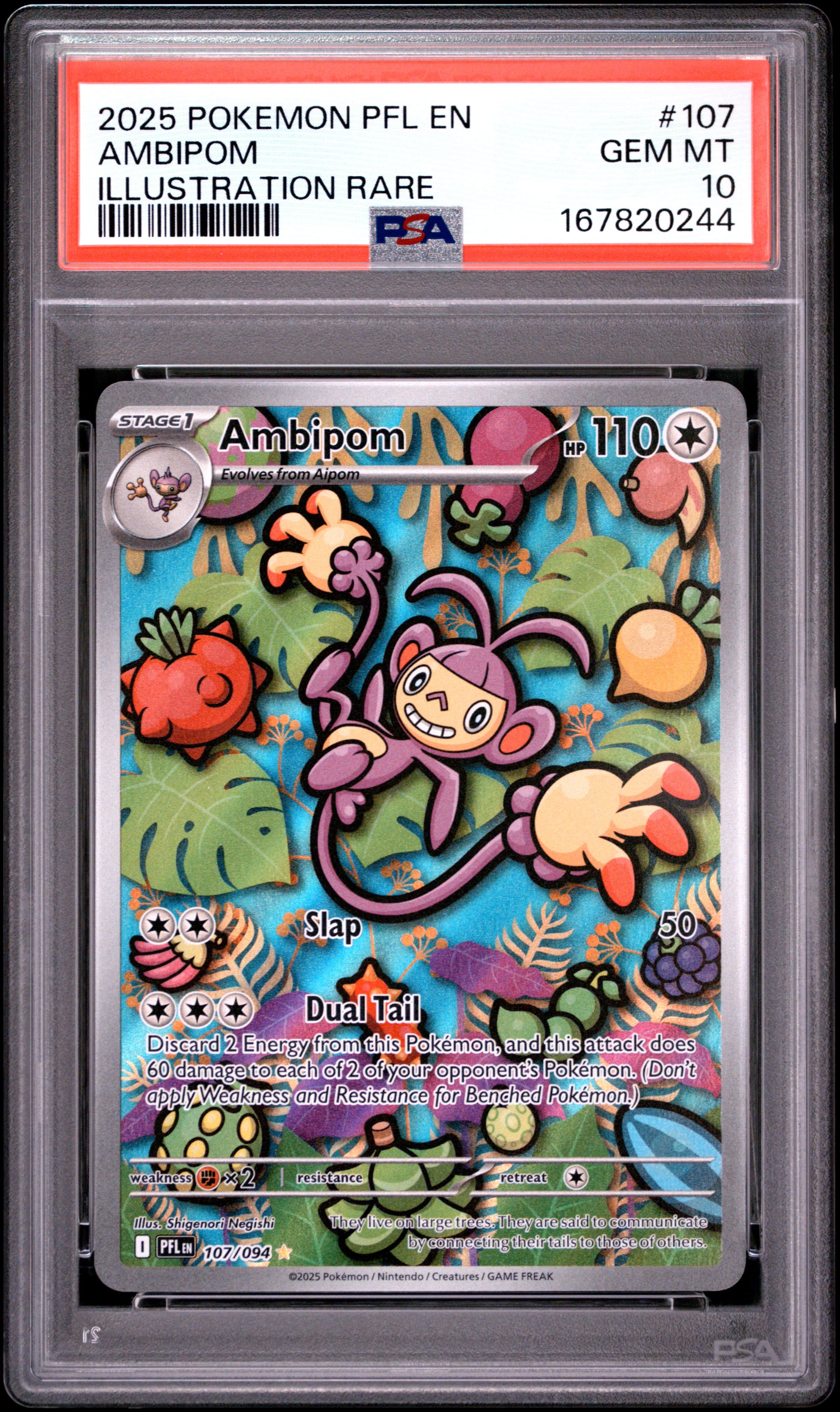 Ambipom