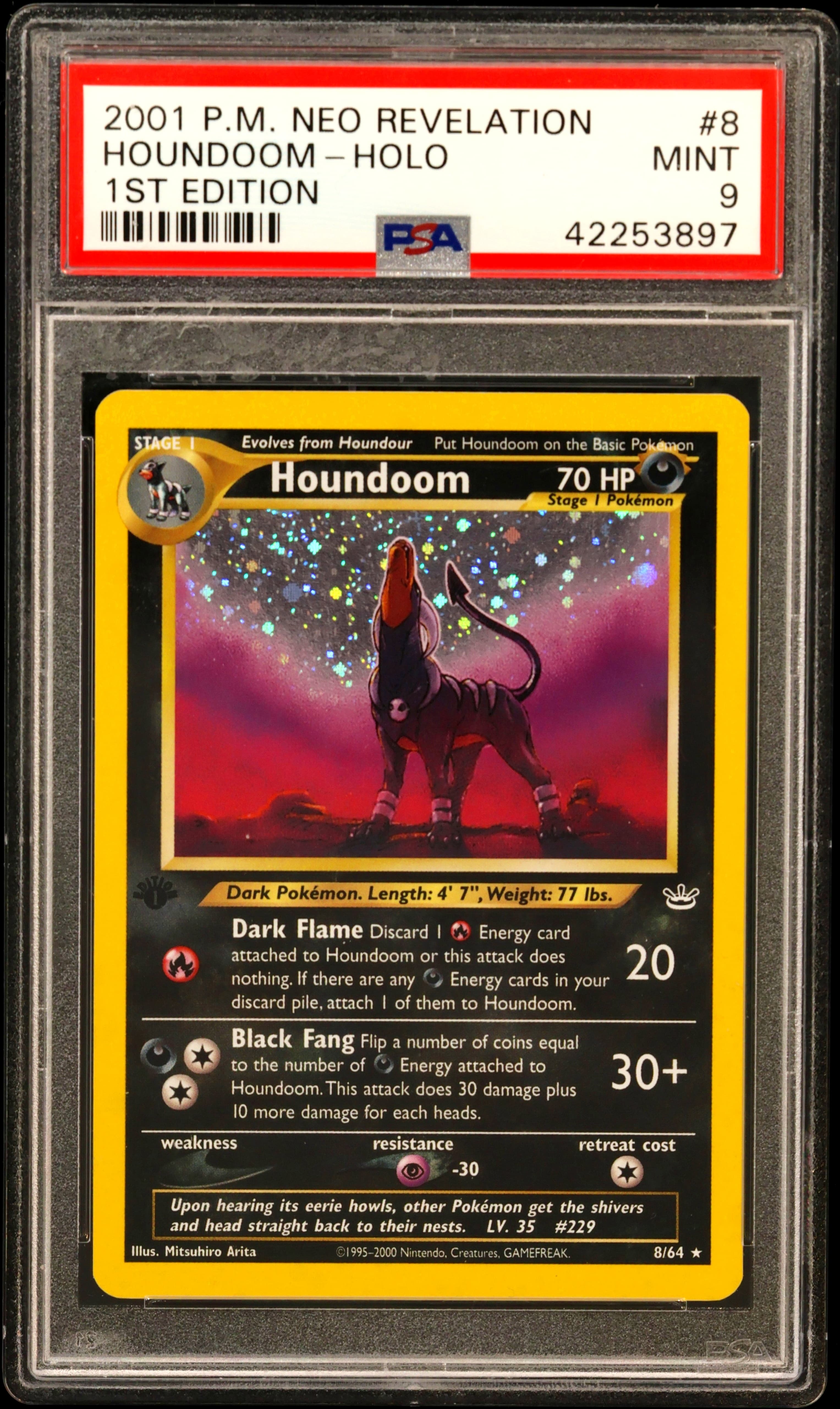 Houndoom-Holo 1st Edition