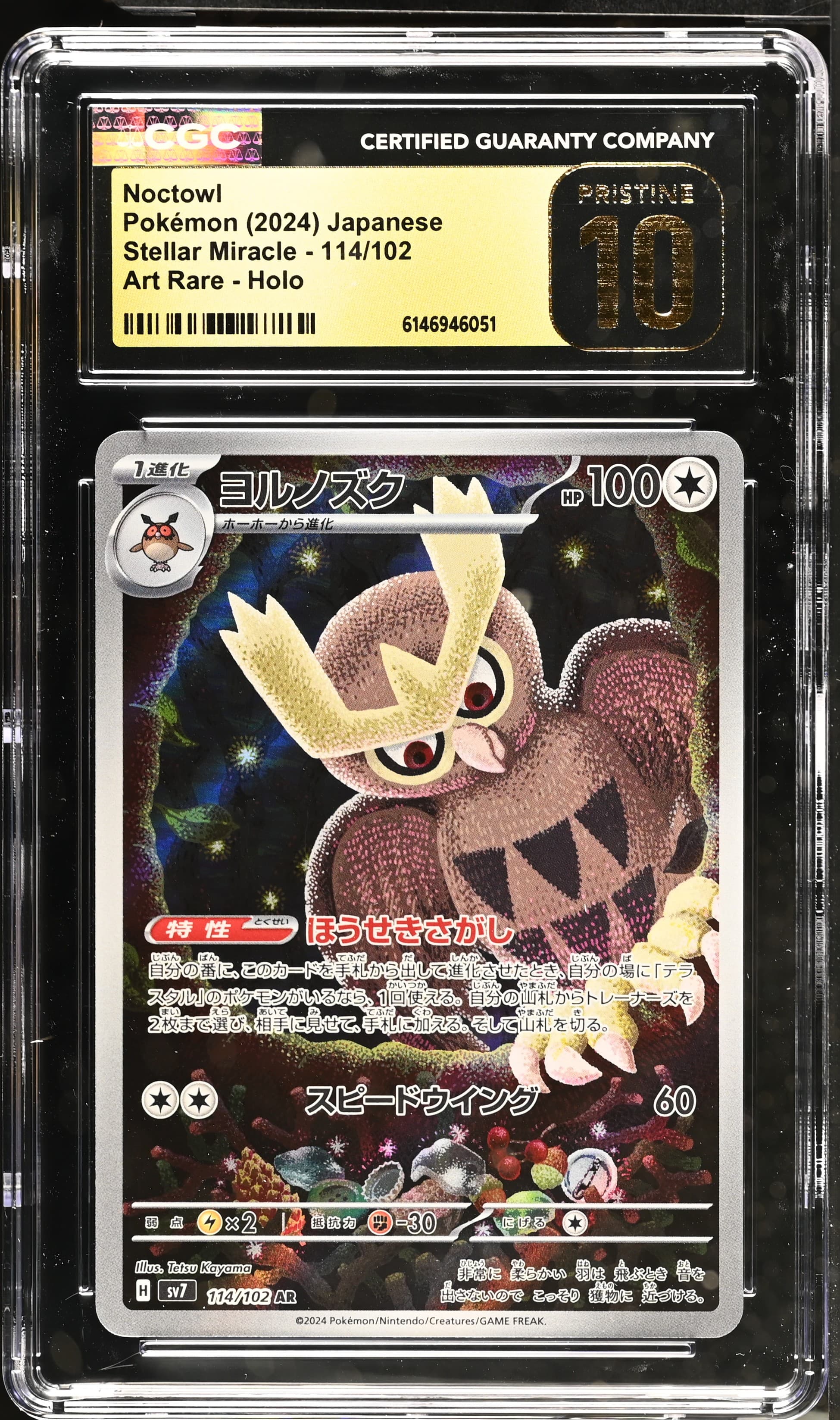 Noctowl