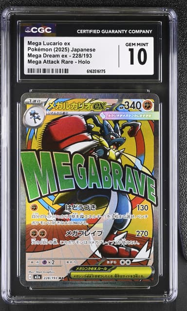 Mega Lucario ex