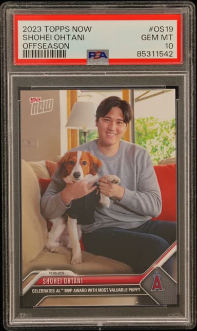 Shohei Ohtani