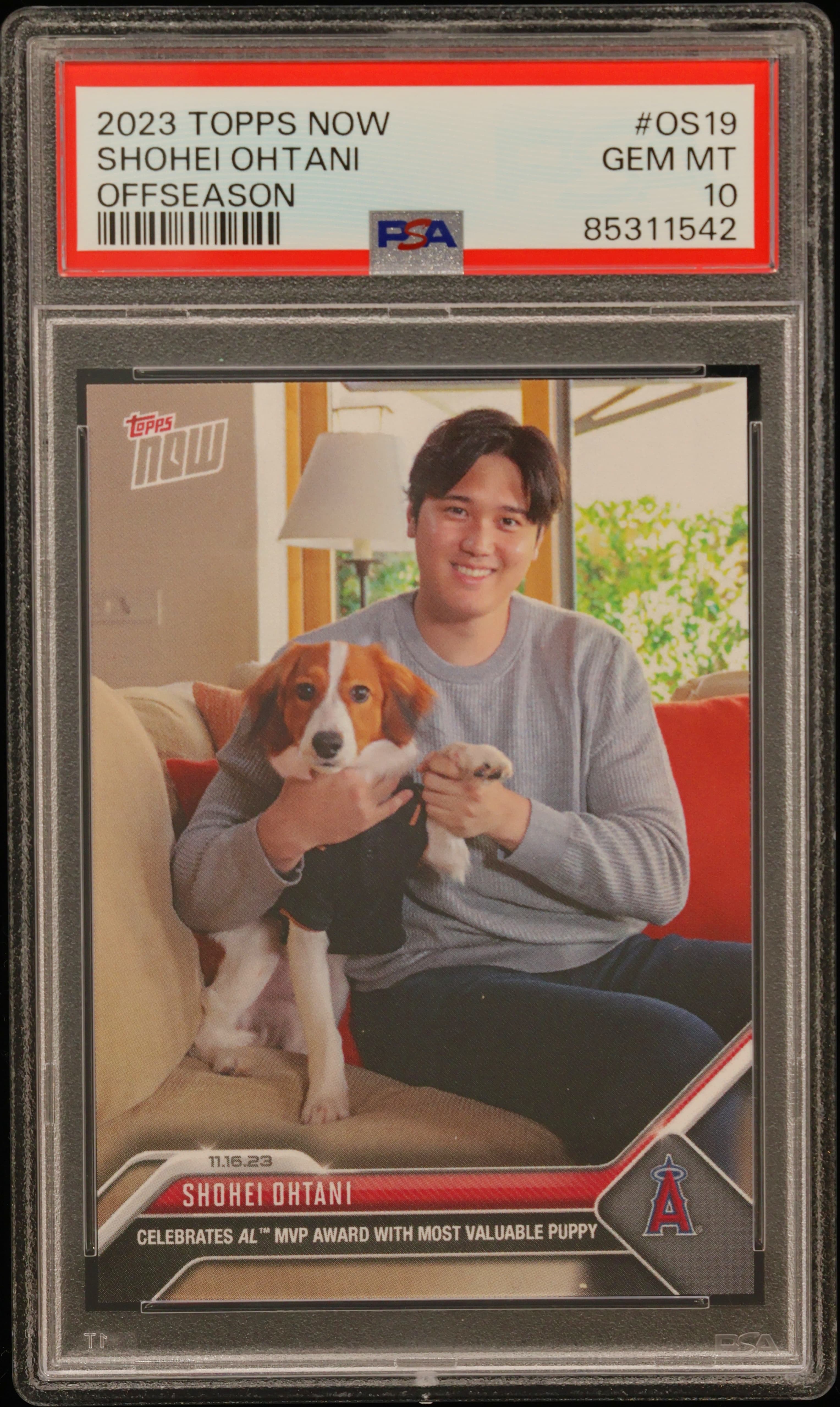 Shohei Ohtani