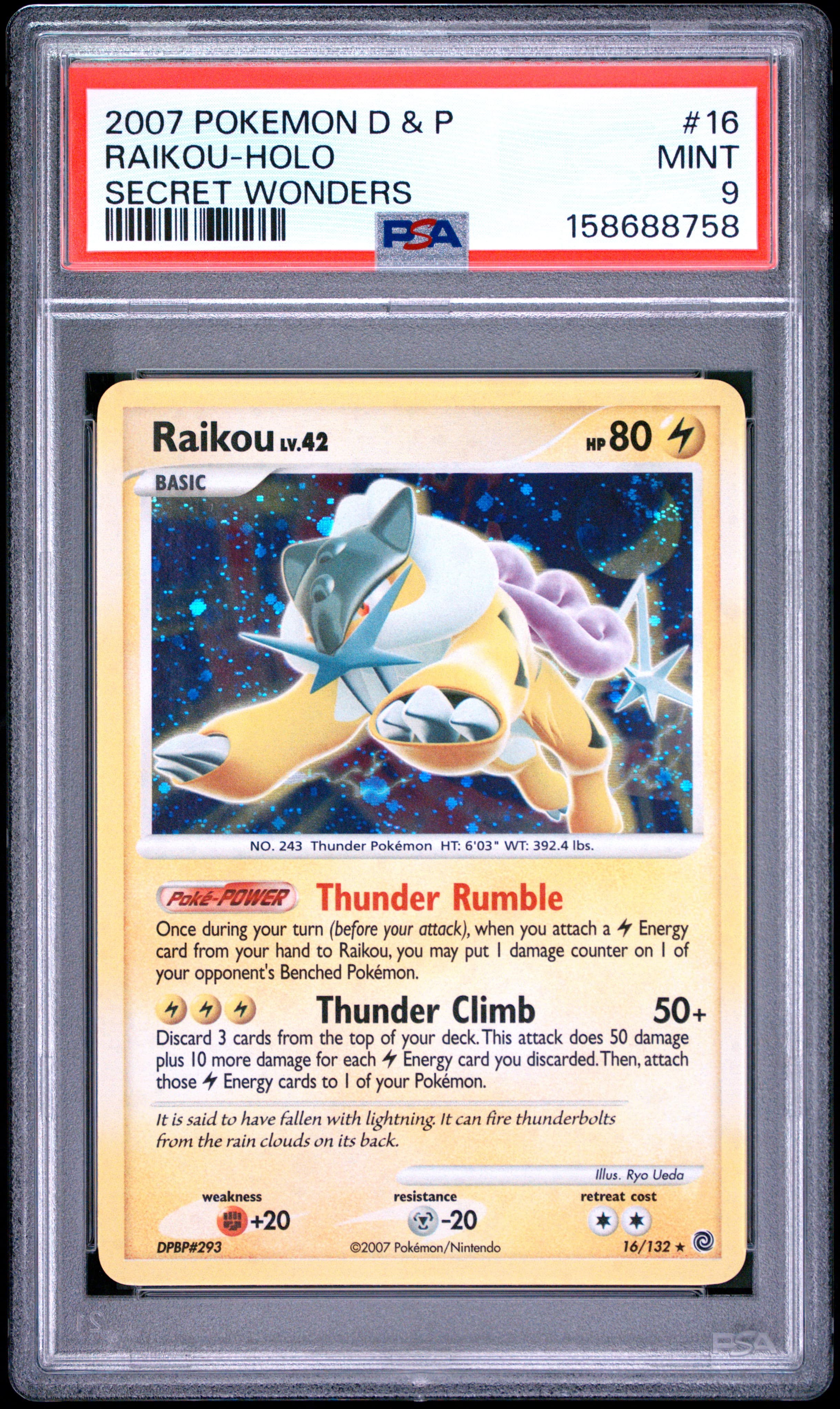Raikou-Holo
