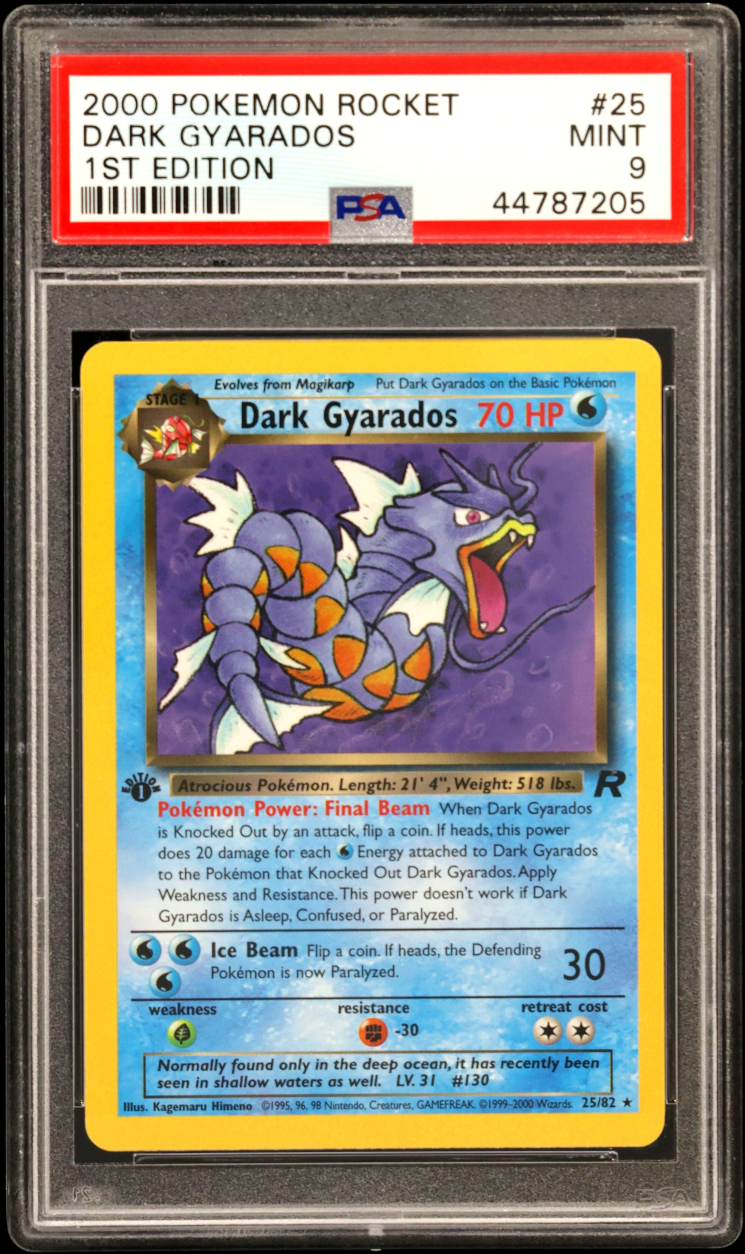 Dark Gyarados 1st Edition