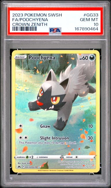 Full Art/Poochyena