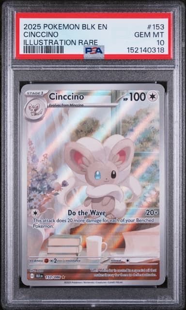 Cinccino