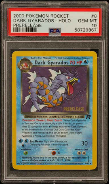 Dark Gyarados-Holo