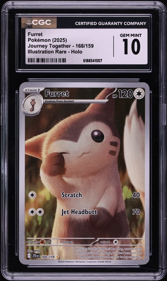 Furret
