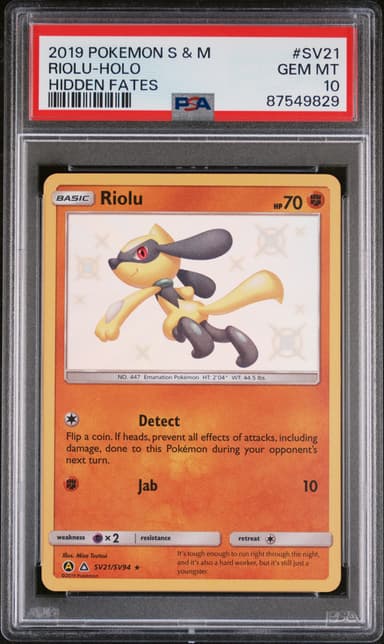 Riolu-Holo