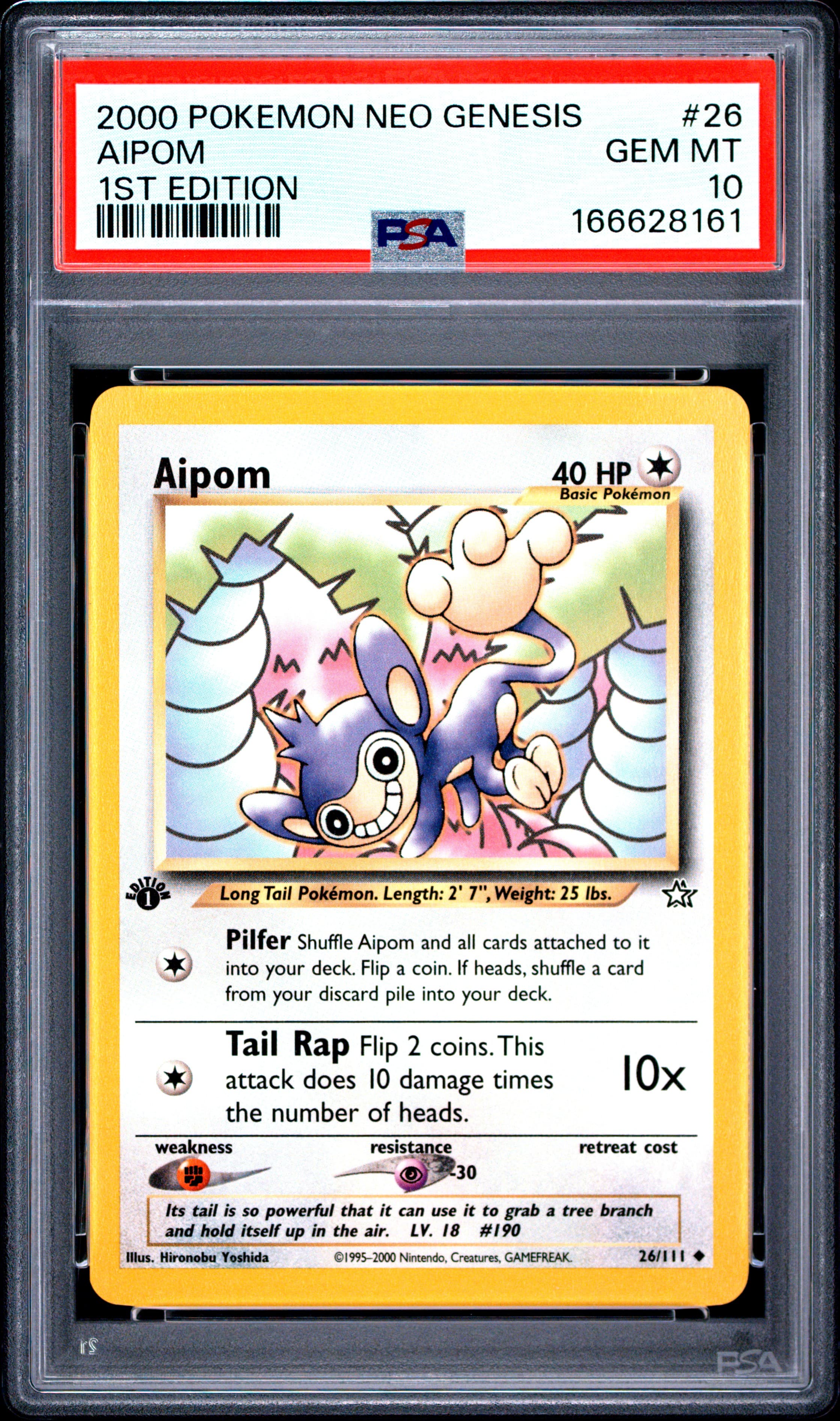 Aipom