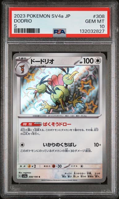 DODRIO