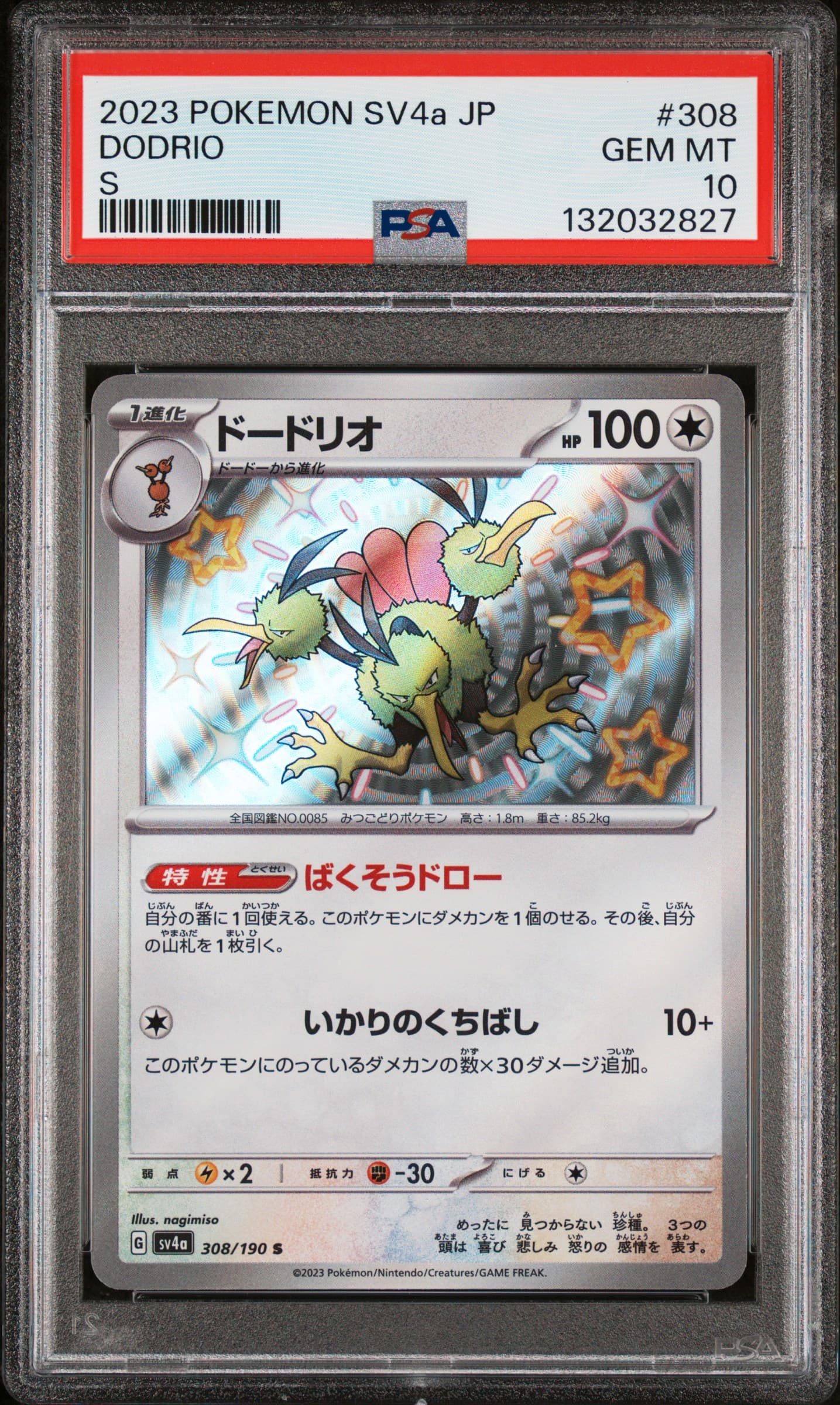 DODRIO