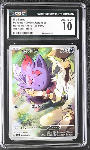N's Zorua