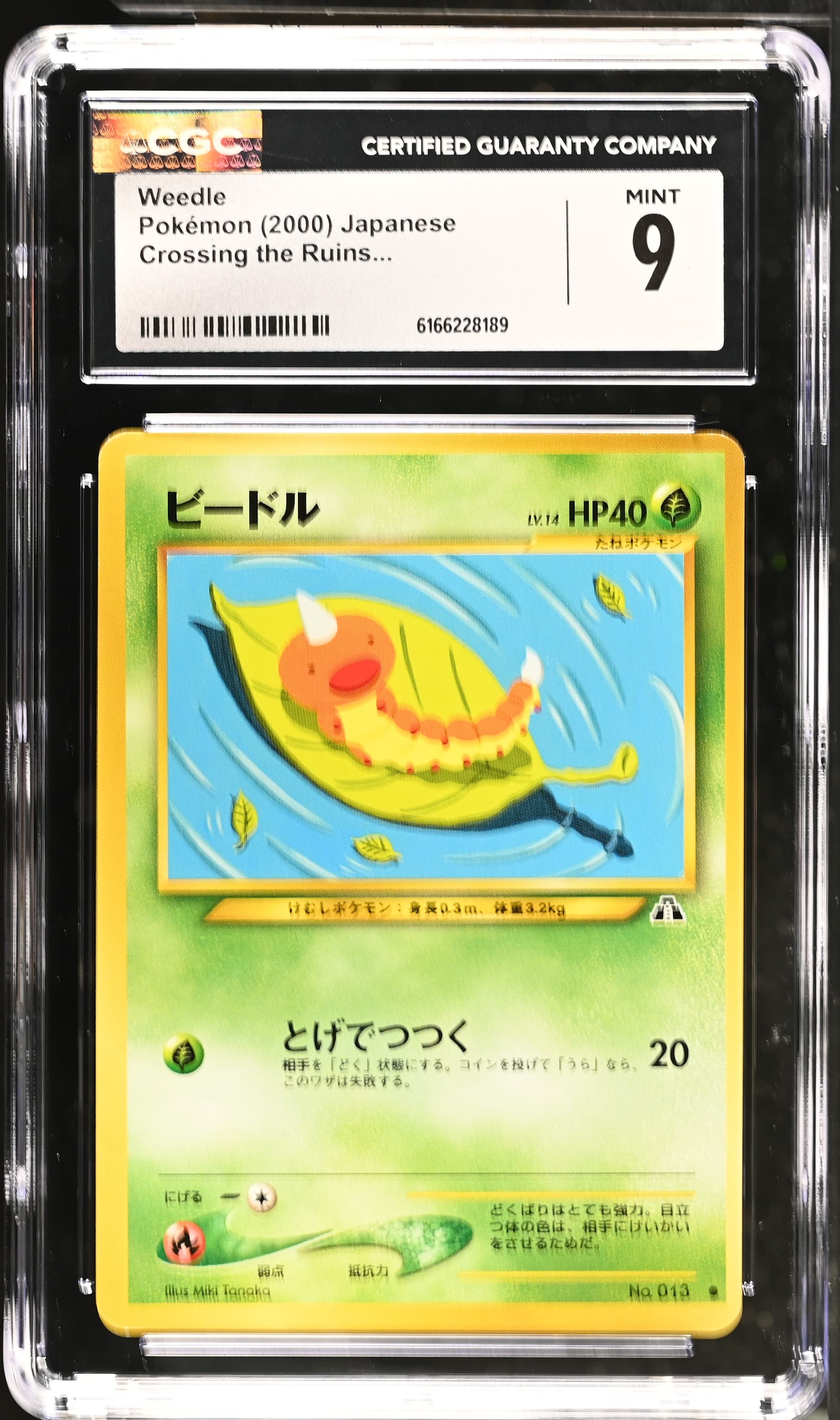 Weedle