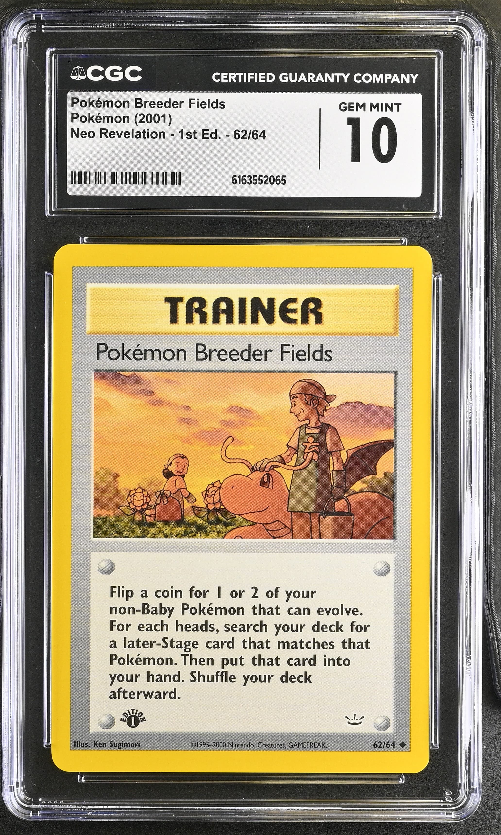 Pokemon Breeder Fields