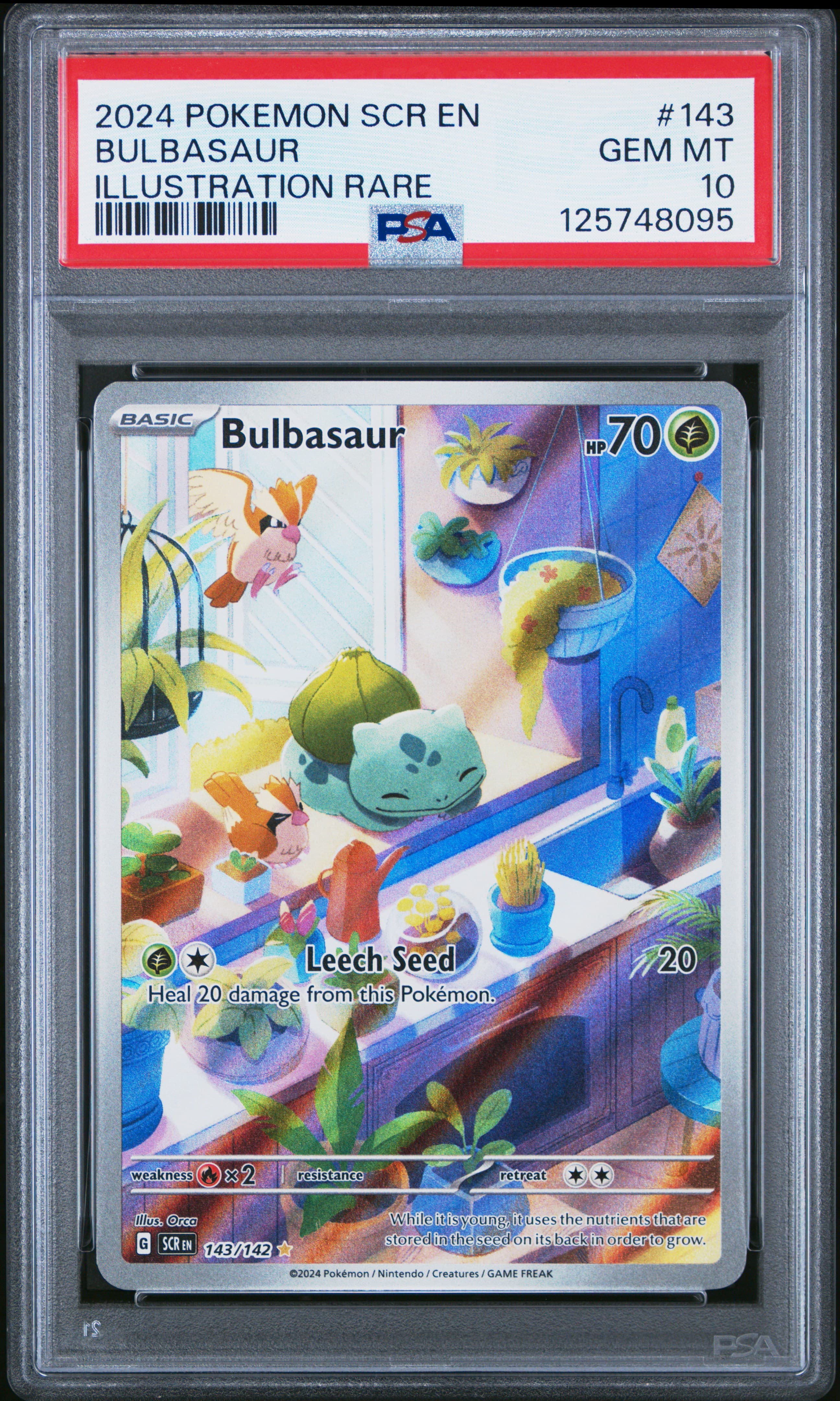 Bulbasaur
