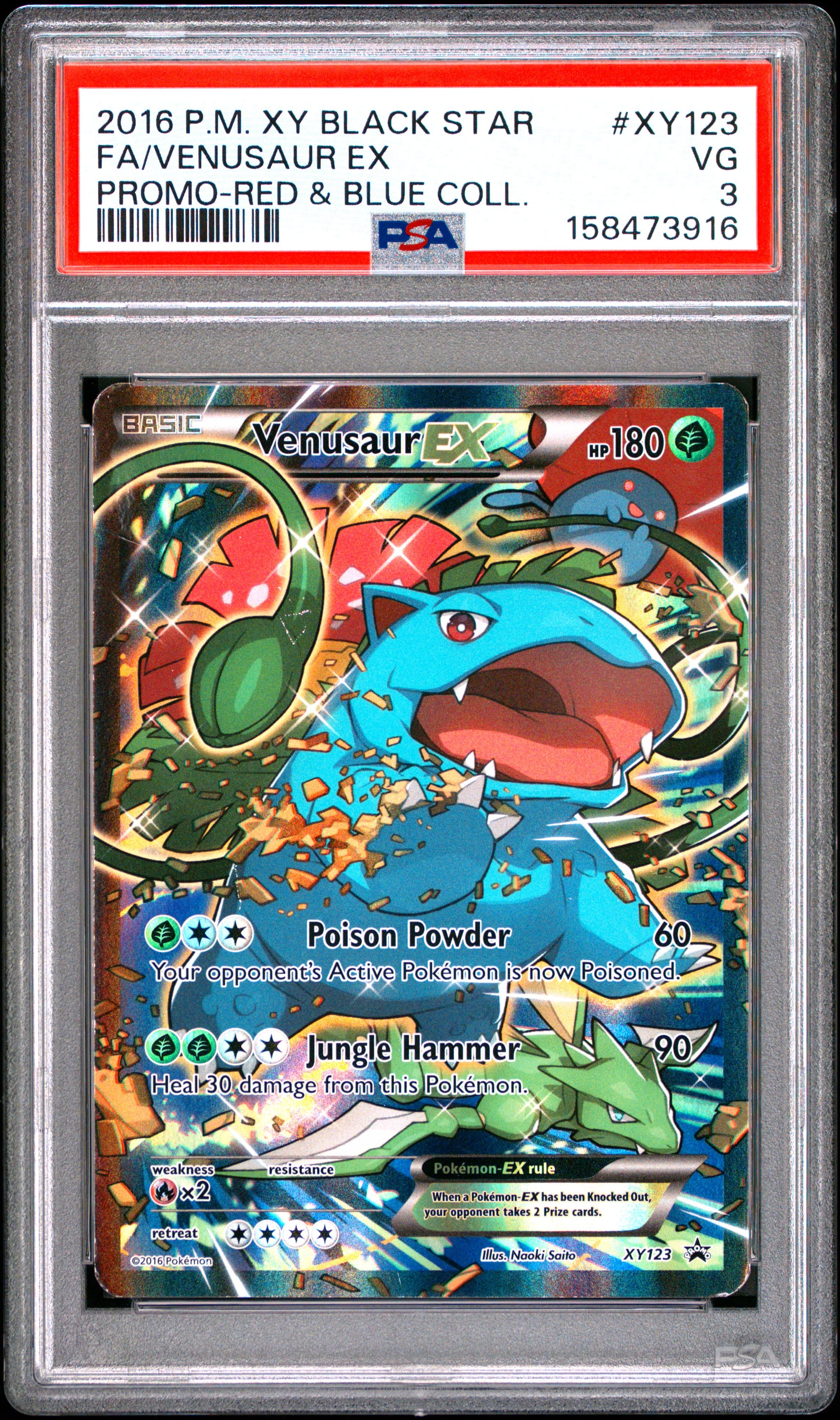 FA/VENUSAUR EX