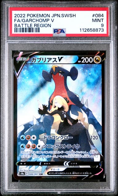 Full Art/Garchomp V