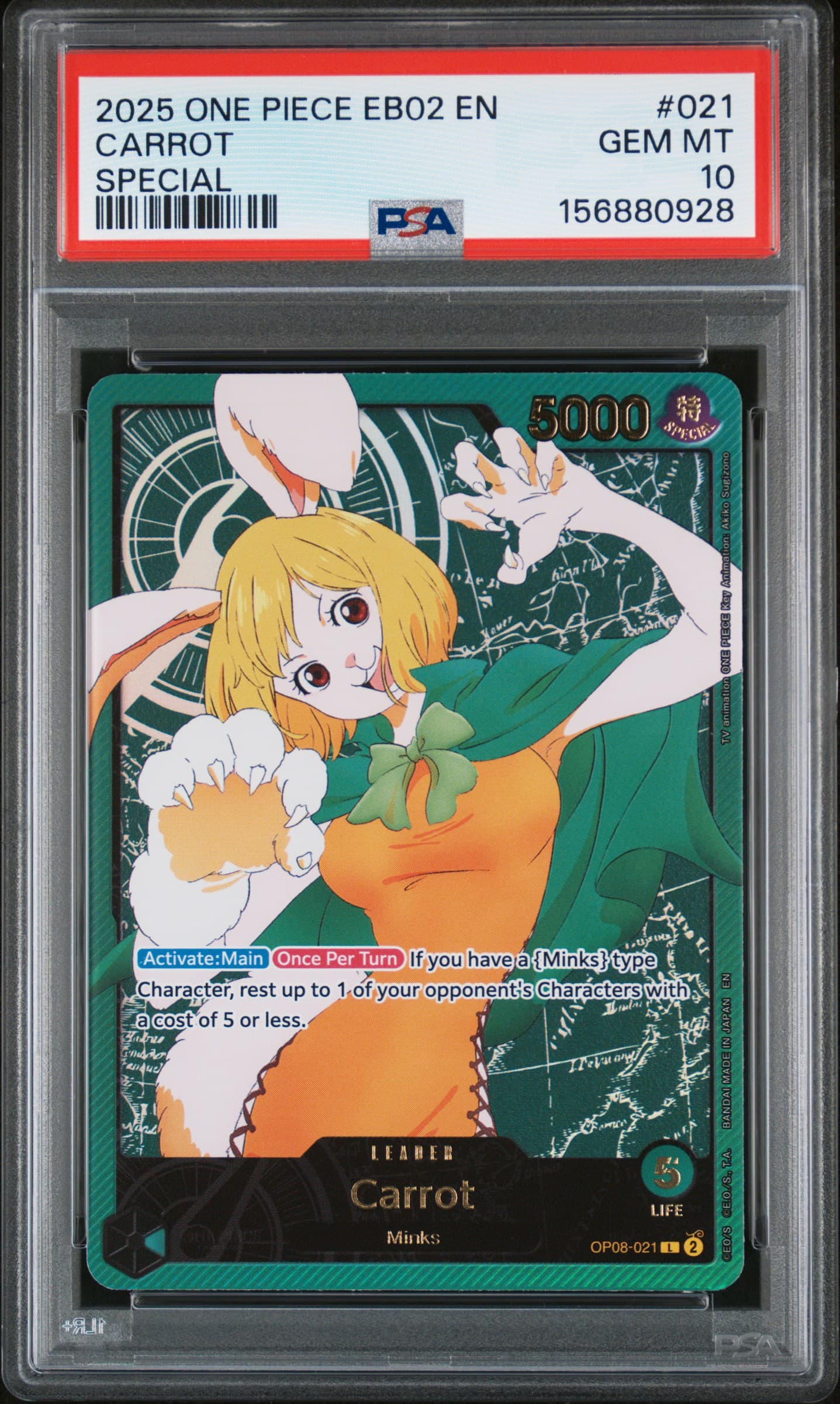 Carrot