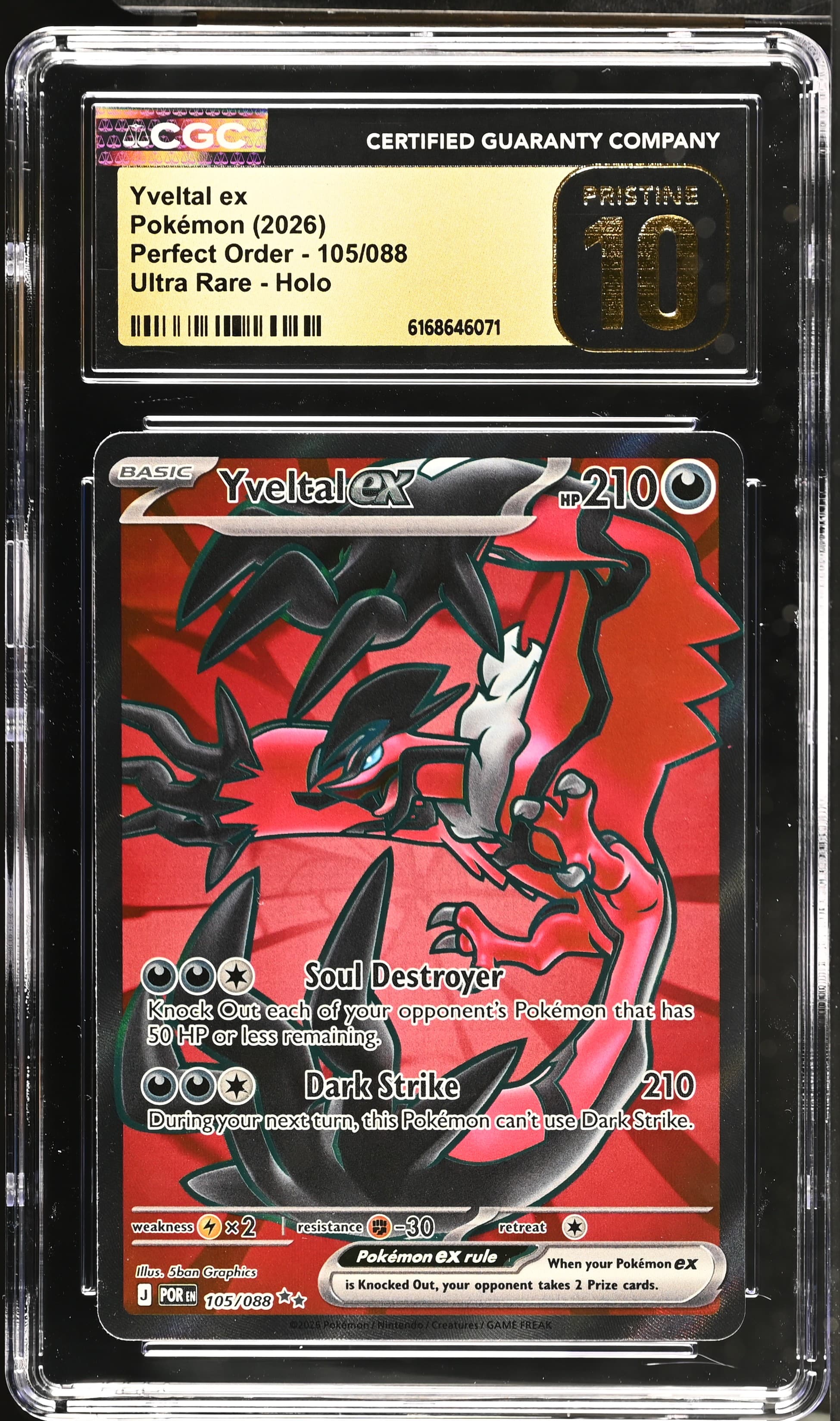 Yveltal ex