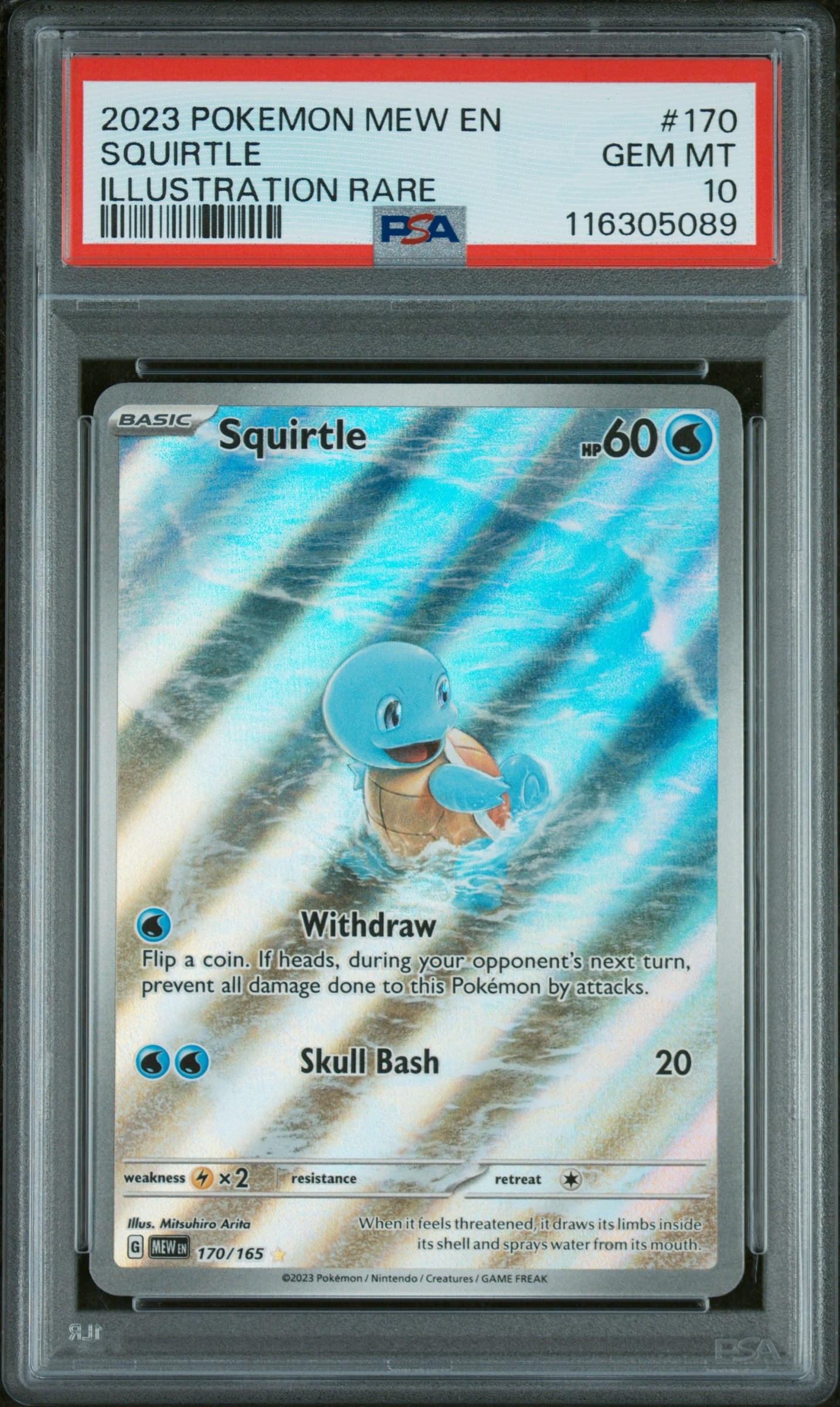 Squirtle