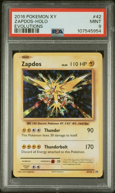 Zapdos-Holo