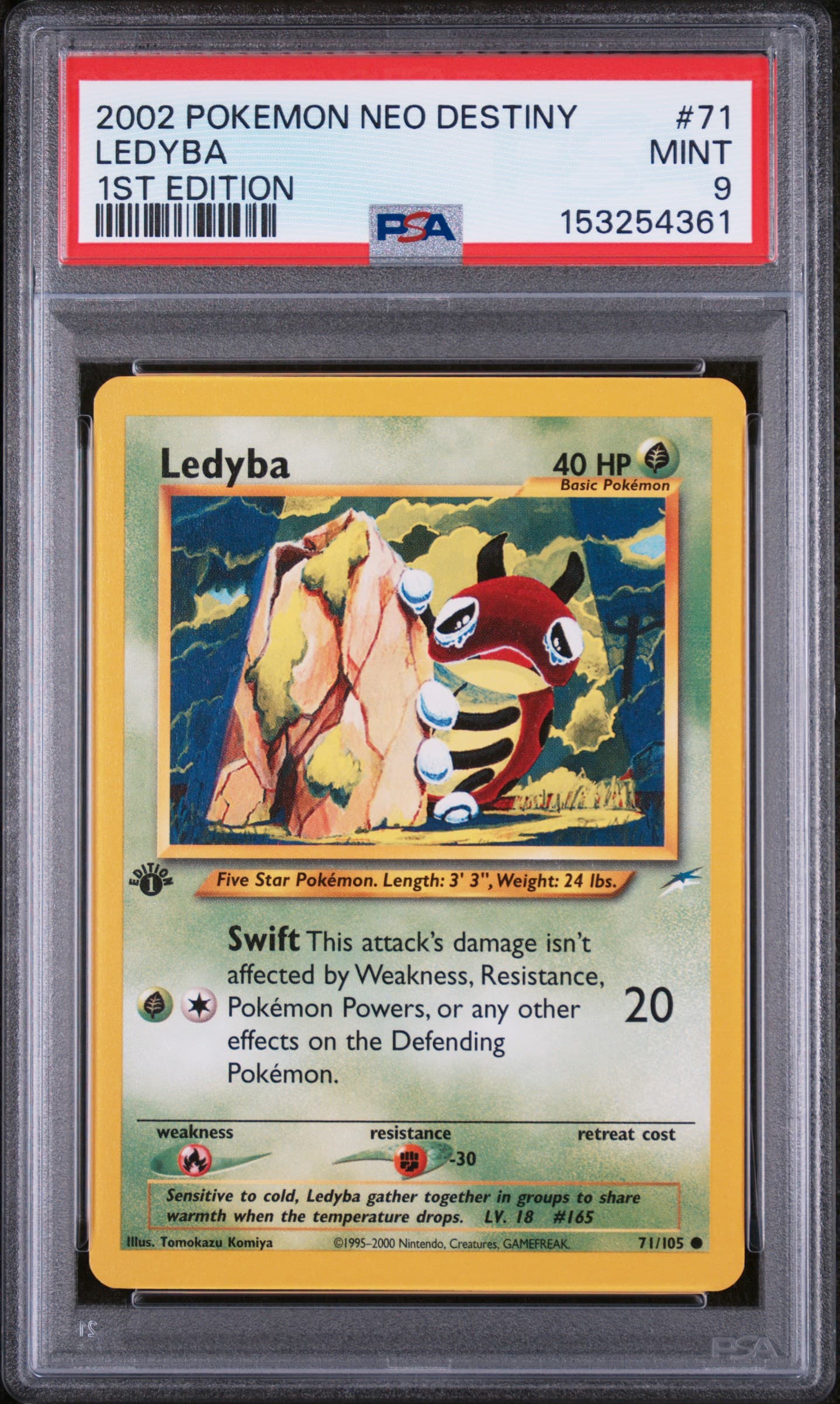 Ledyba 1st Edition