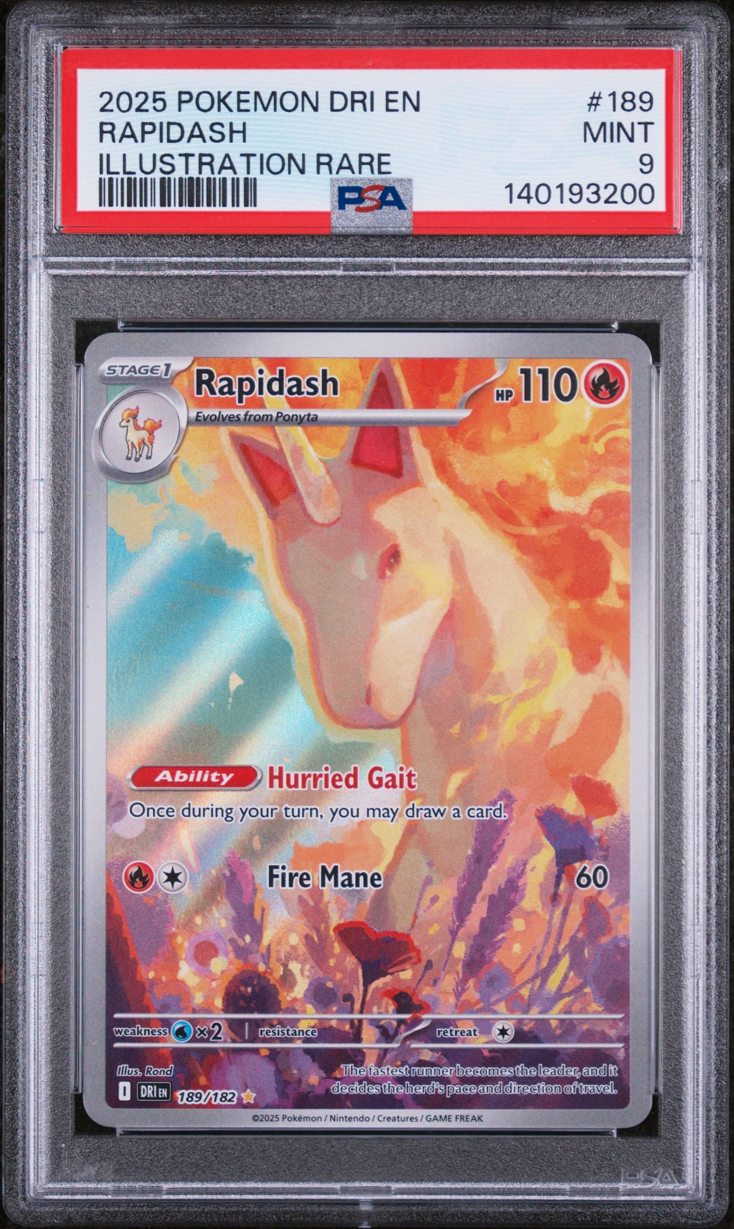 Rapidash
