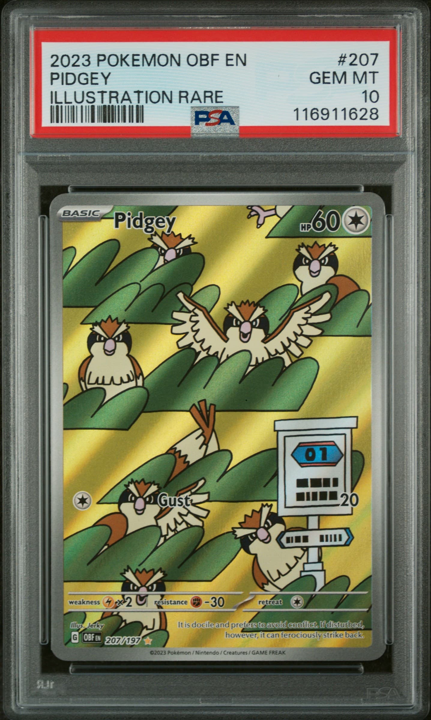 Pidgey