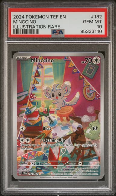 Minccino