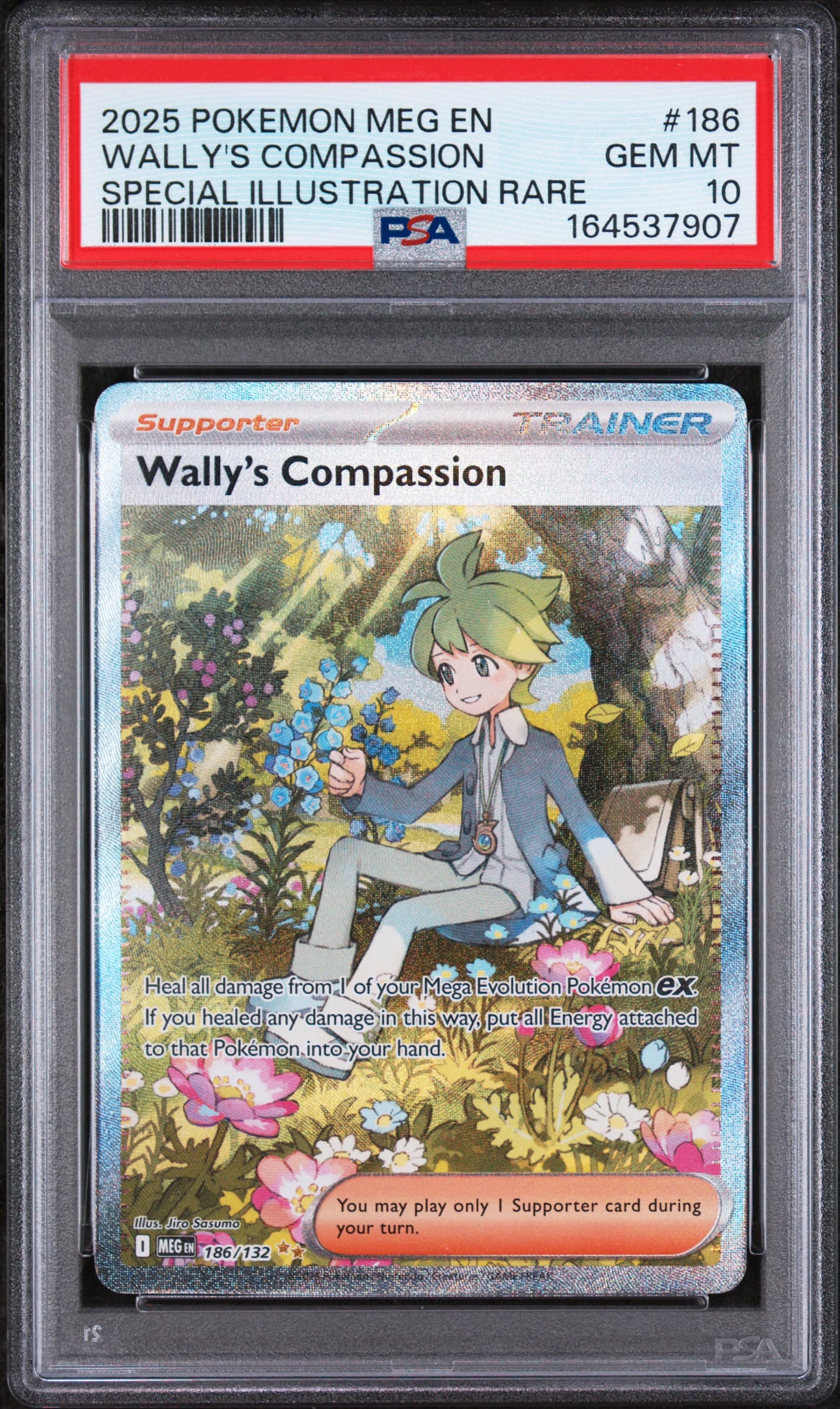 Wally's Compassion