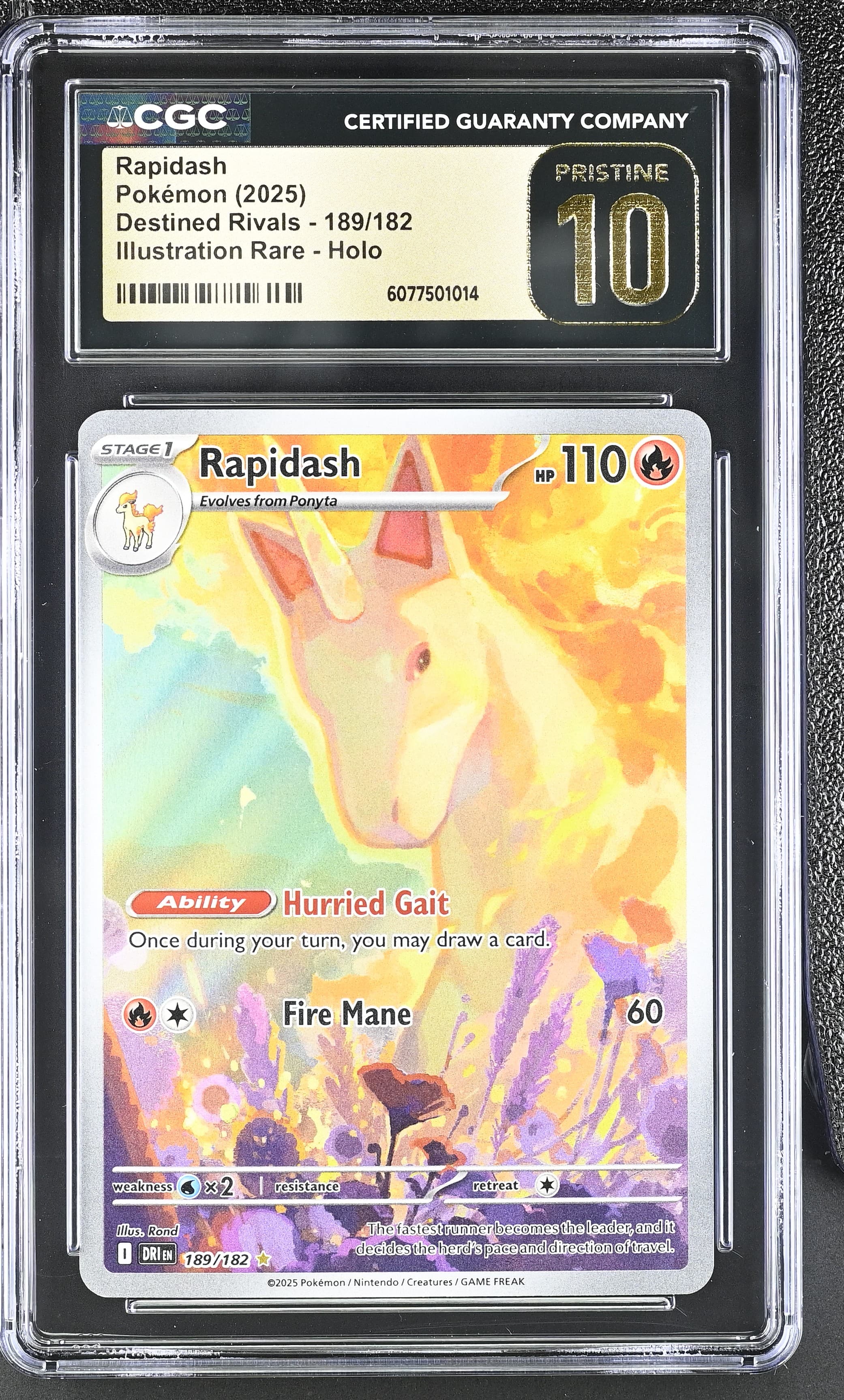 Rapidash
