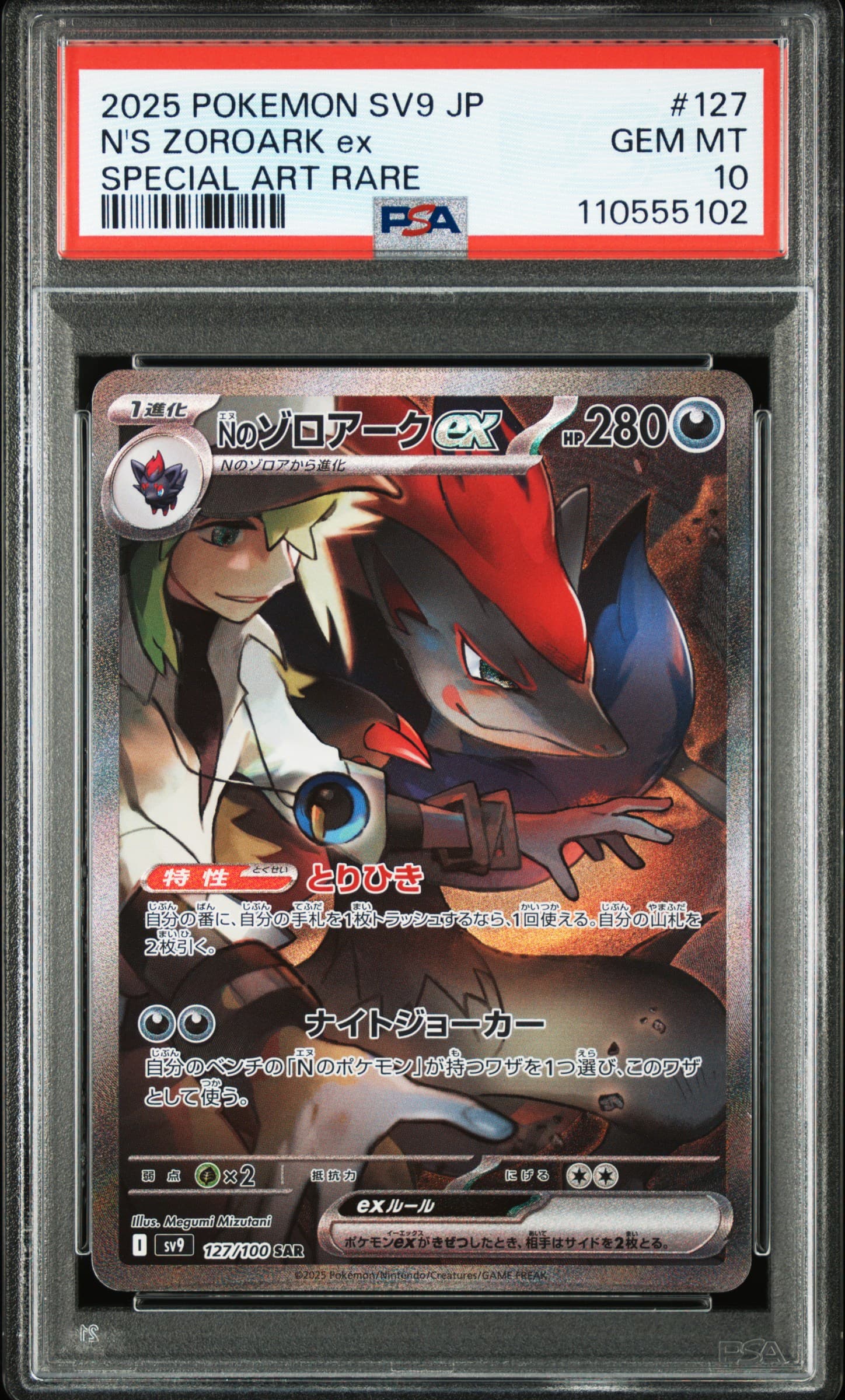 N's Zoroark EX