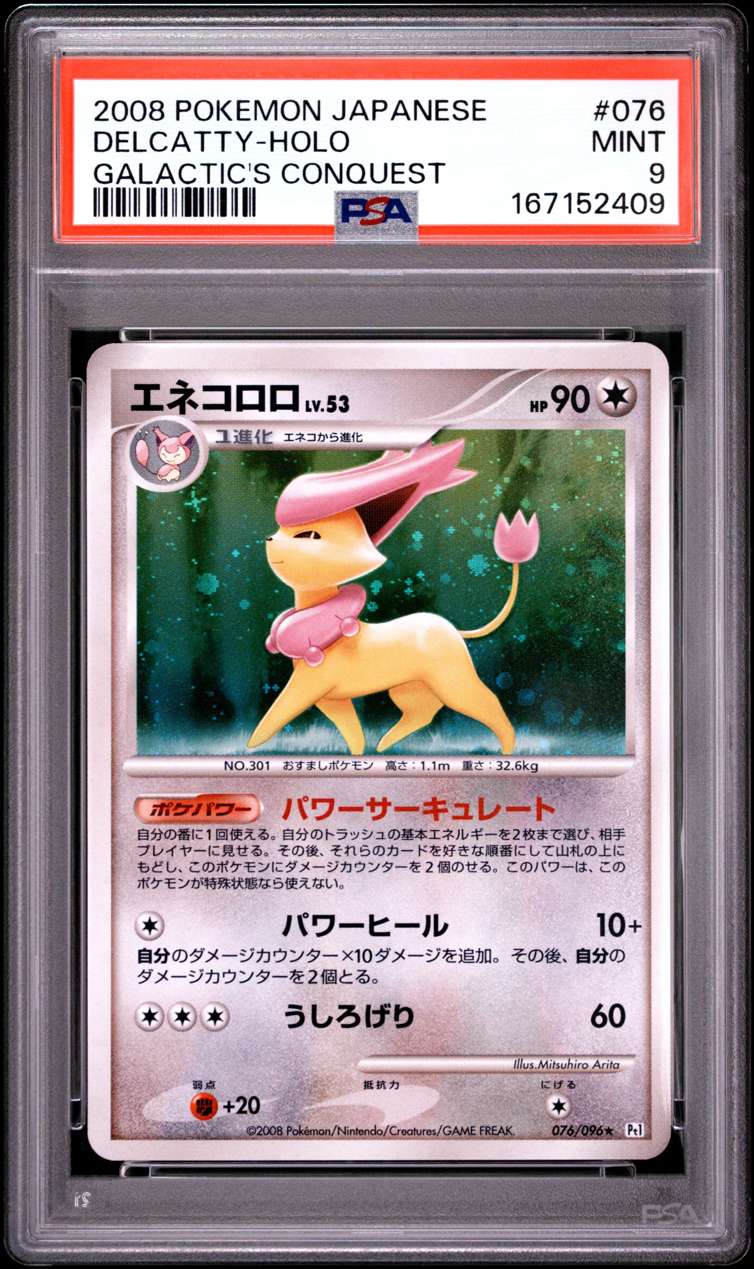 Delcatty-Holo