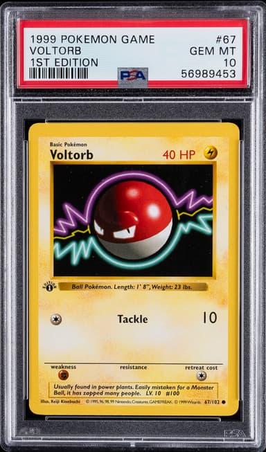 Voltorb 1st Edition
