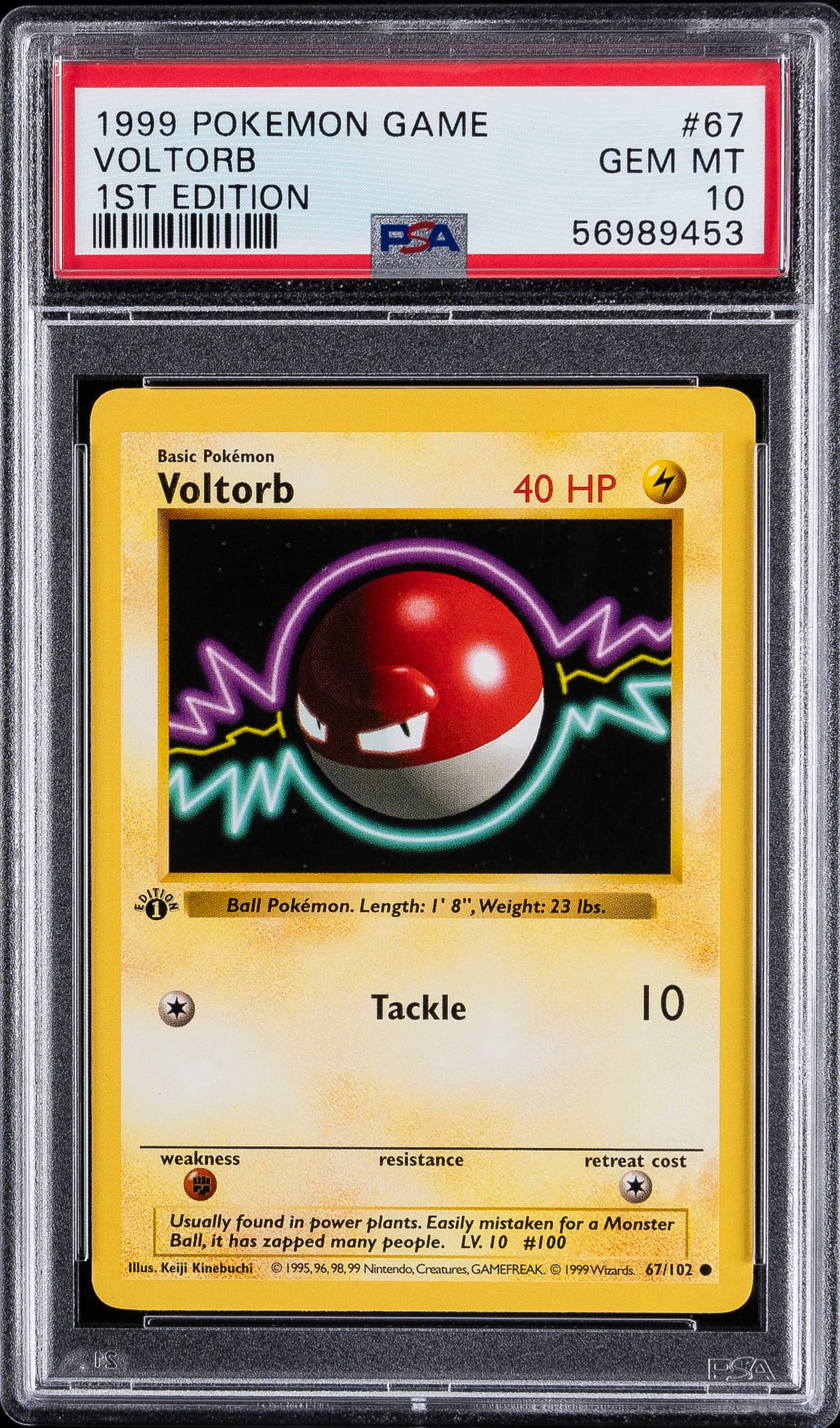 Voltorb 1st Edition