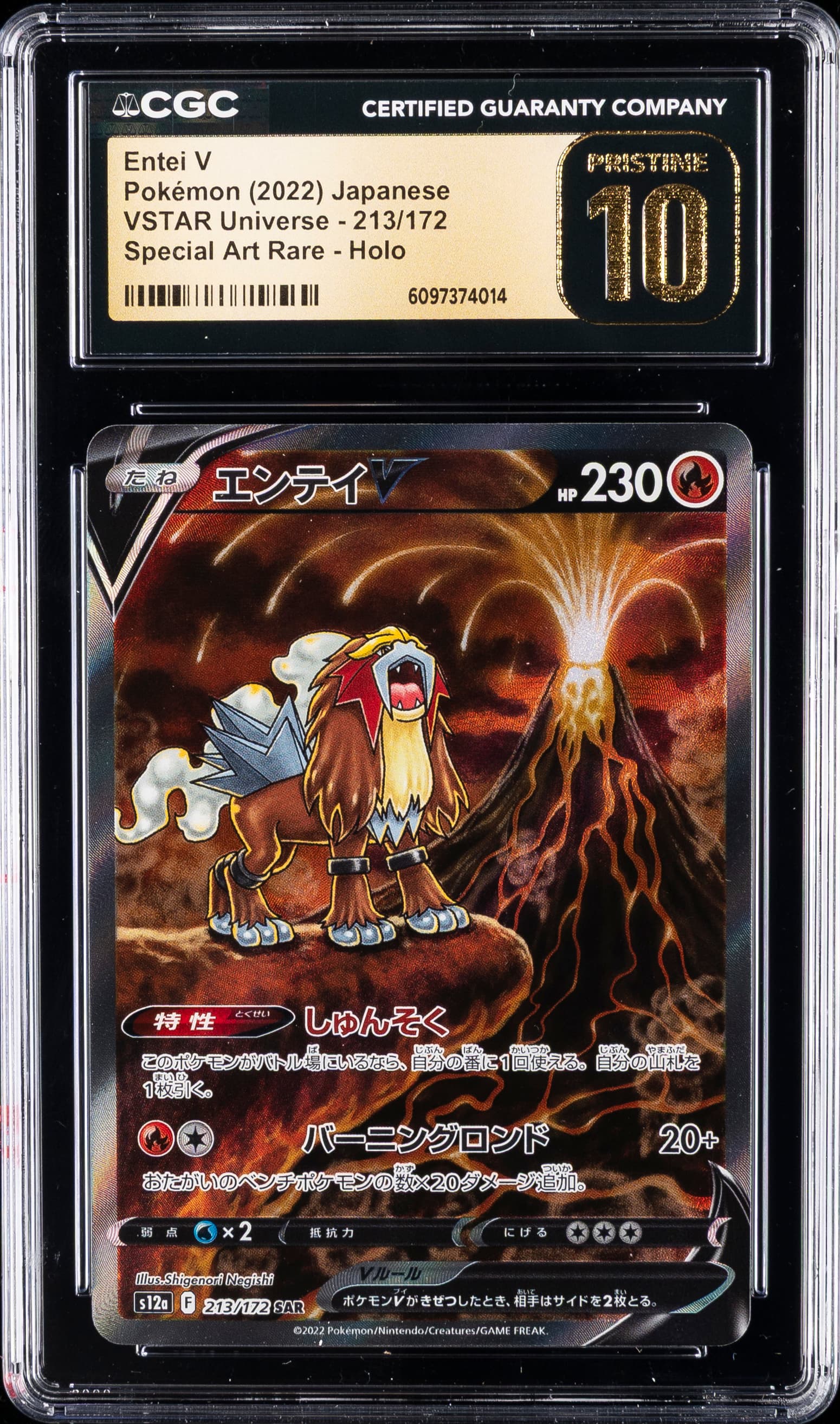 Full Art/Entei V