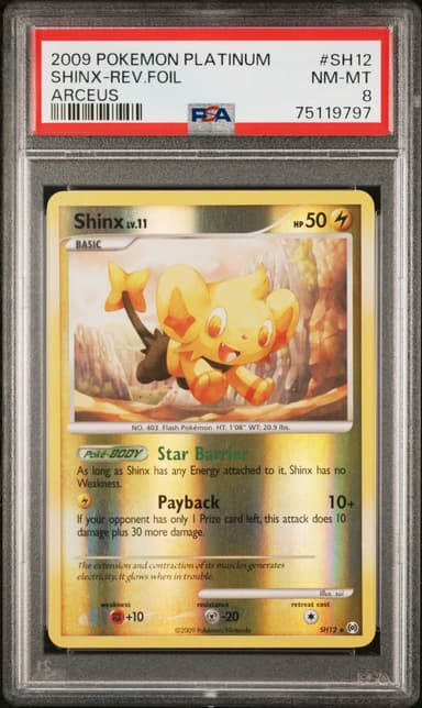 Shinx-Reverse Foil