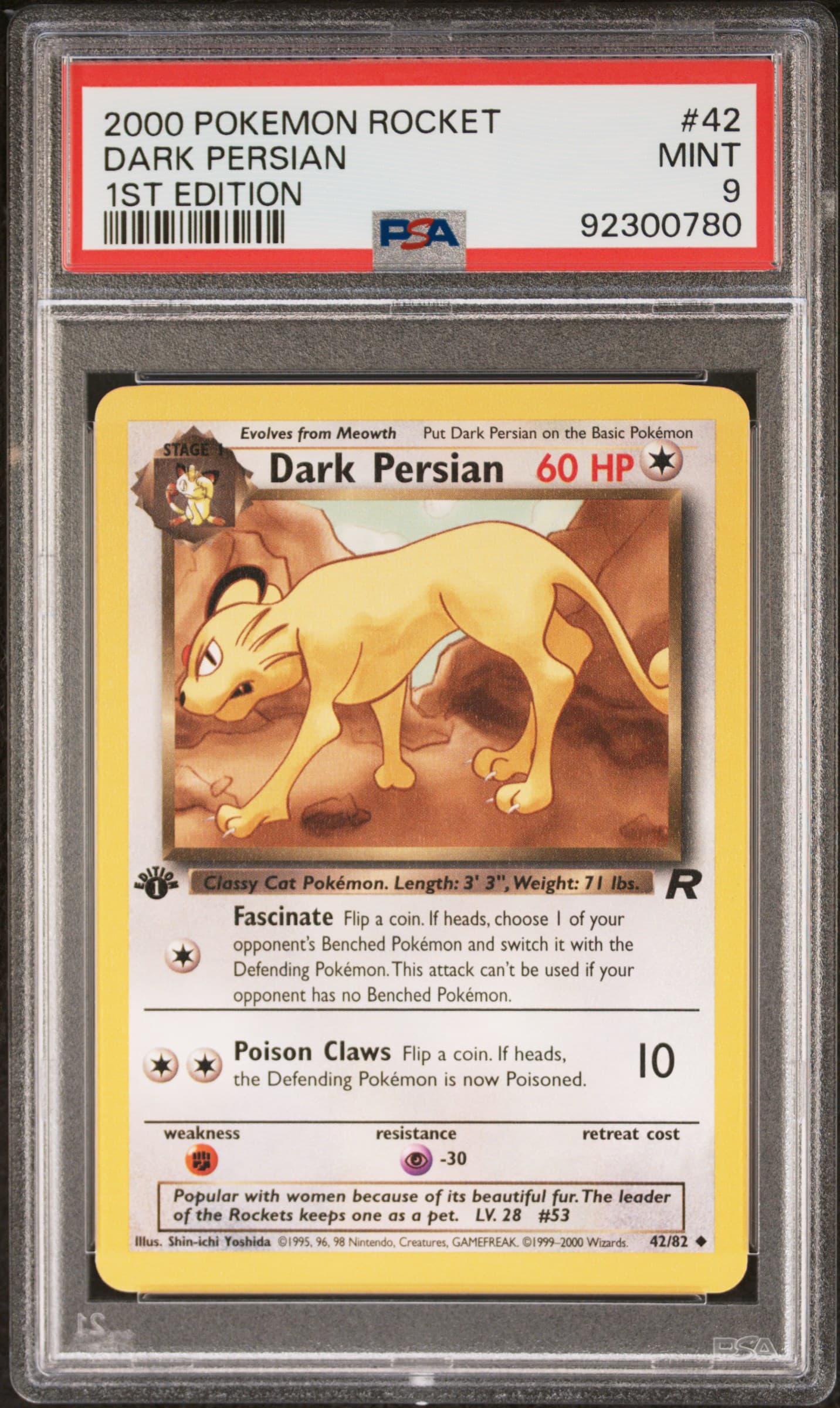 Dark Persian 1st Edition
