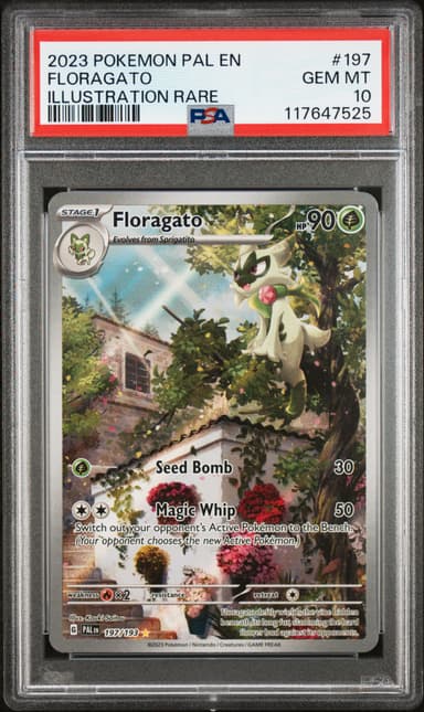 Floragato