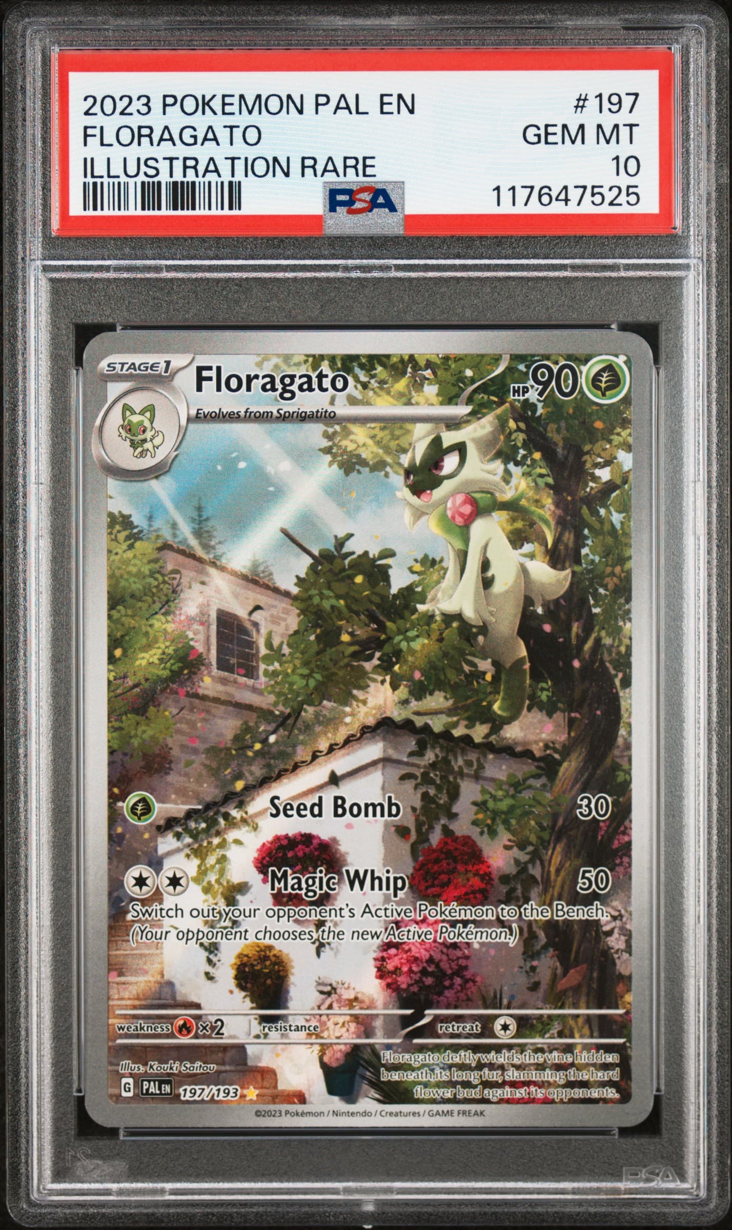 Floragato