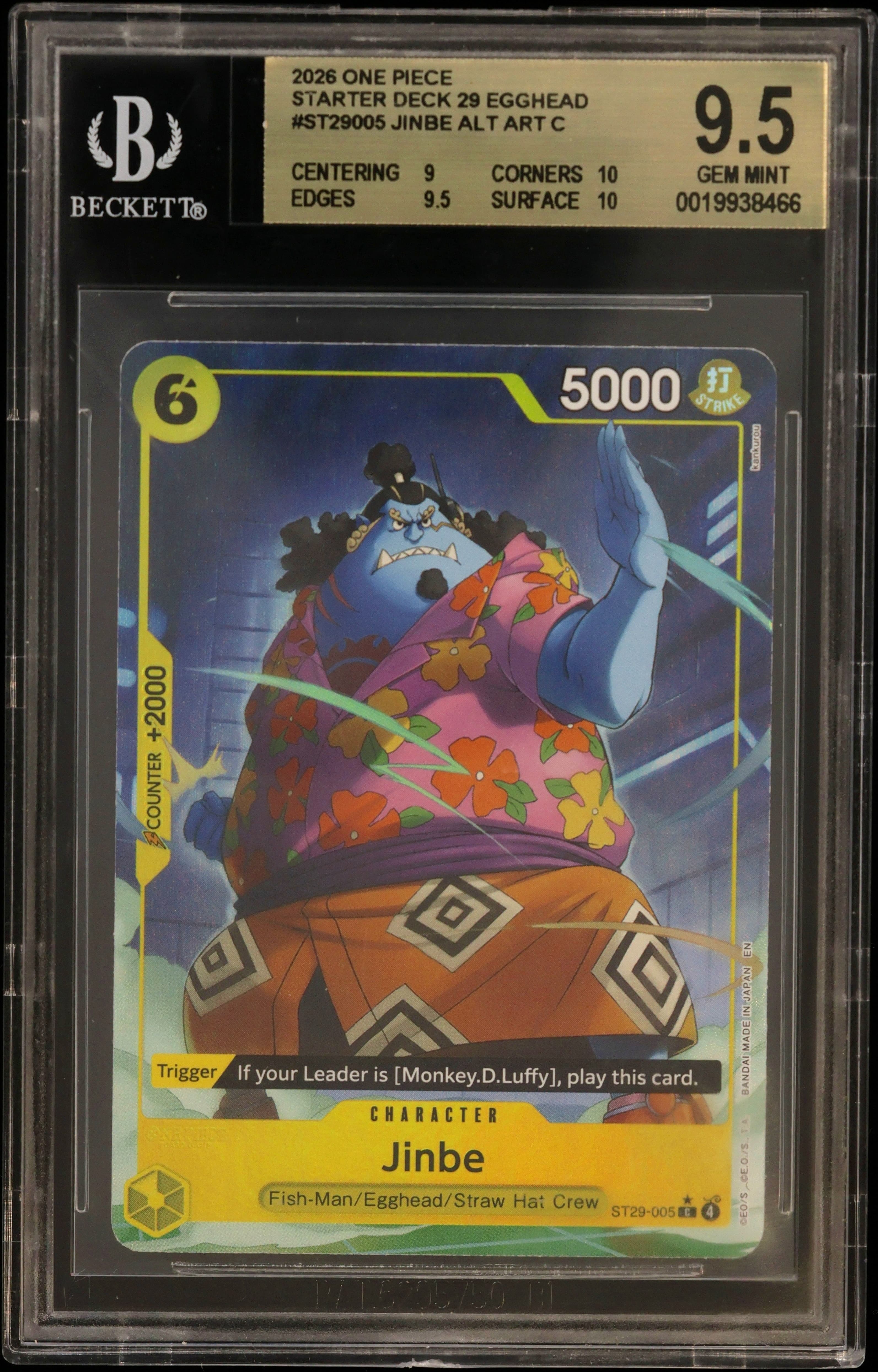 Jinbe ALT ART C