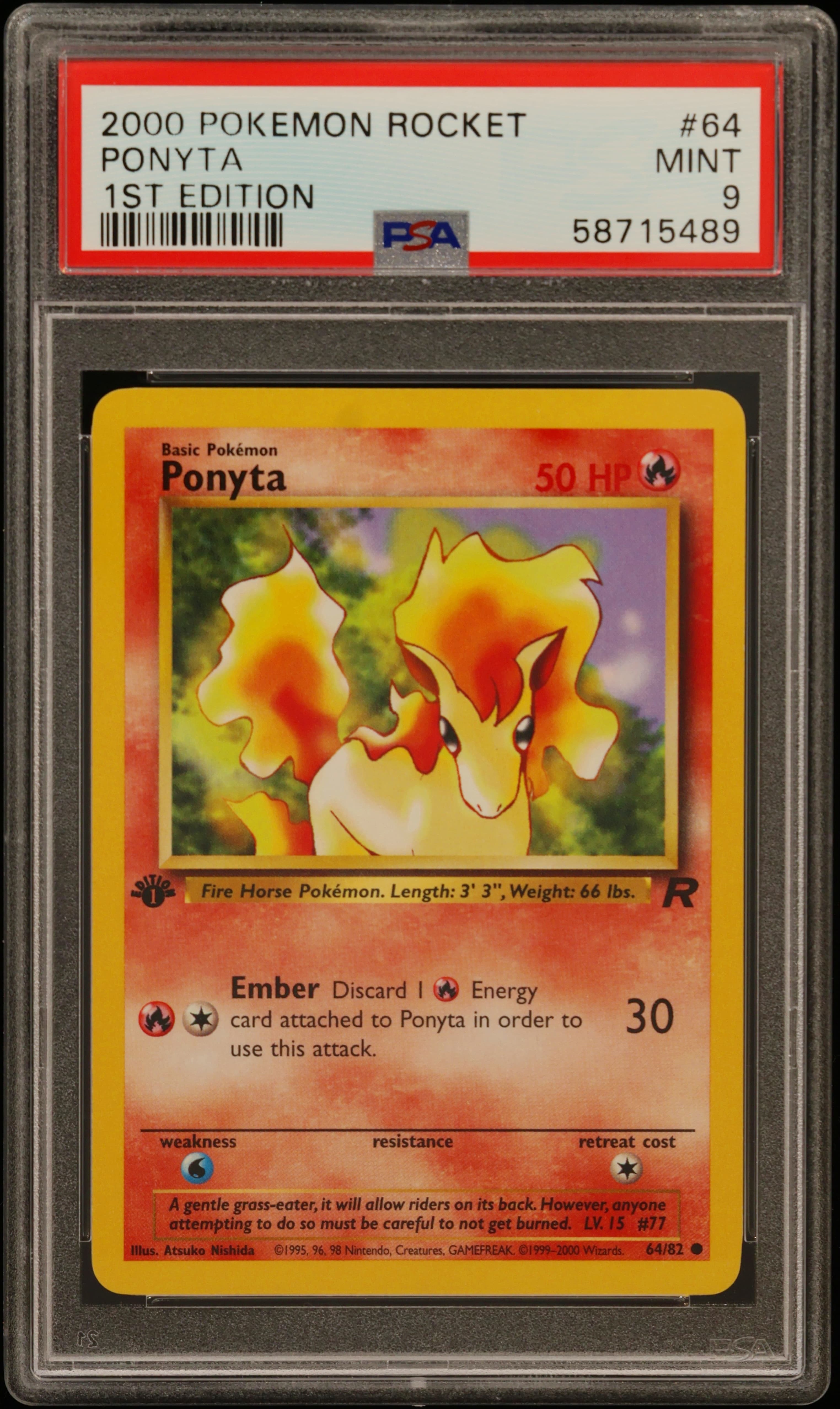 Ponyta 1st Edition