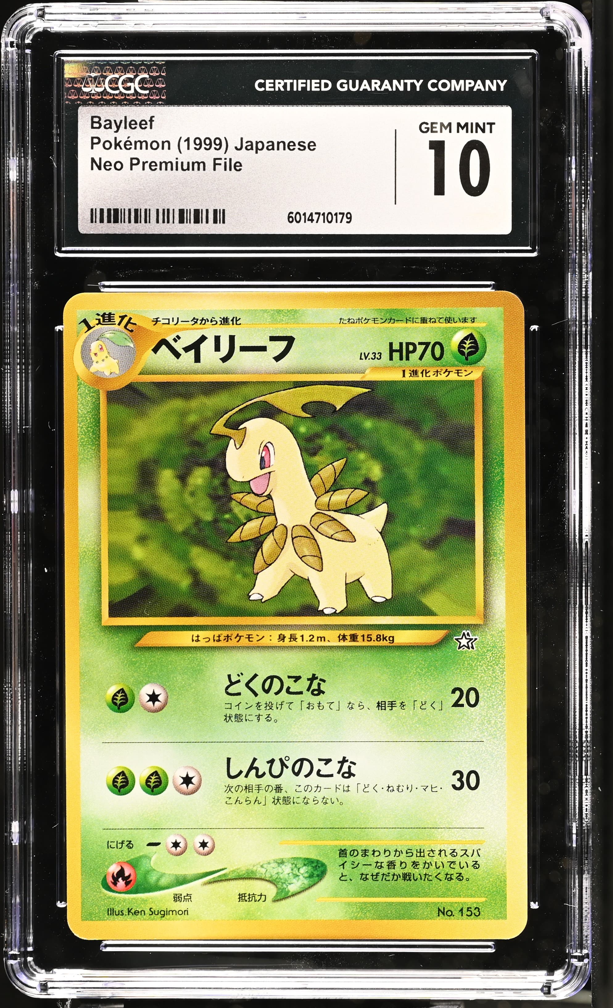 Bayleef