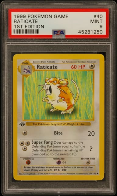Raticate 1st Edition