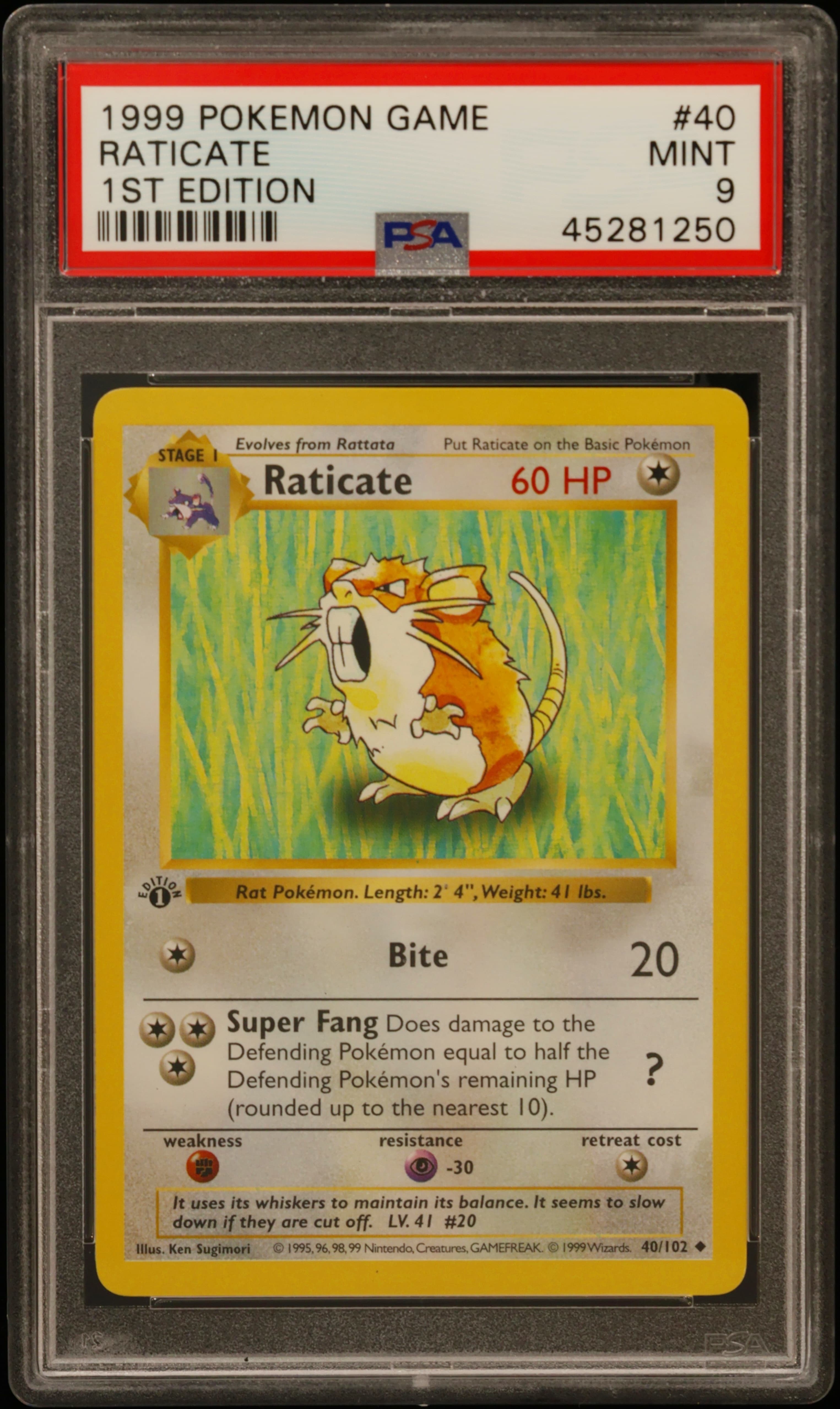 Raticate 1st Edition