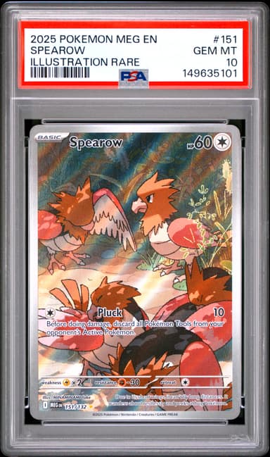 Spearow