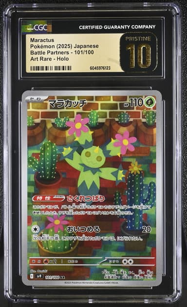 Maractus