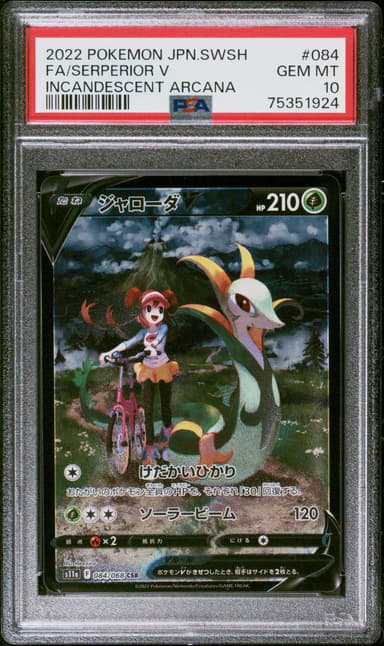 Full Art/Serperior V